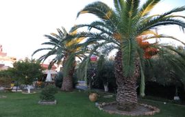 katerina hotel keramoti kavala 19