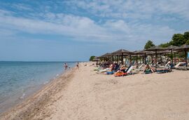 Dimitsas George Apartments, Psakoudia, Sithonia