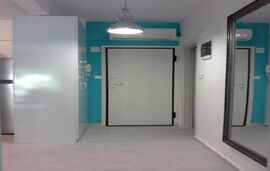 Gala Apartment, Nea Potidea, Kassandra, 4 Bed Apartment