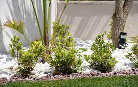 Naiada Villa, Nikiti, Sithonia