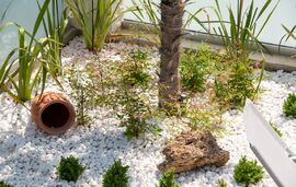 Naiada Villa, Nikiti, Sithonia