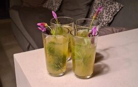 Avista Private Resort, Vourvourou, Sithonia