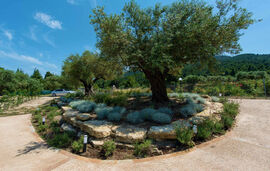 Avista Private Resort, Vourvourou, Sithonia