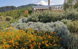 Avista Private Resort, Vourvourou, Sithonia