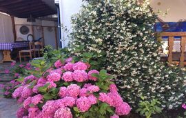 By The Sea House, Paradissos Neos Marmaras, Sithonia