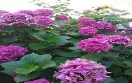 By The Sea House, Paradissos Neos Marmaras, Sithonia