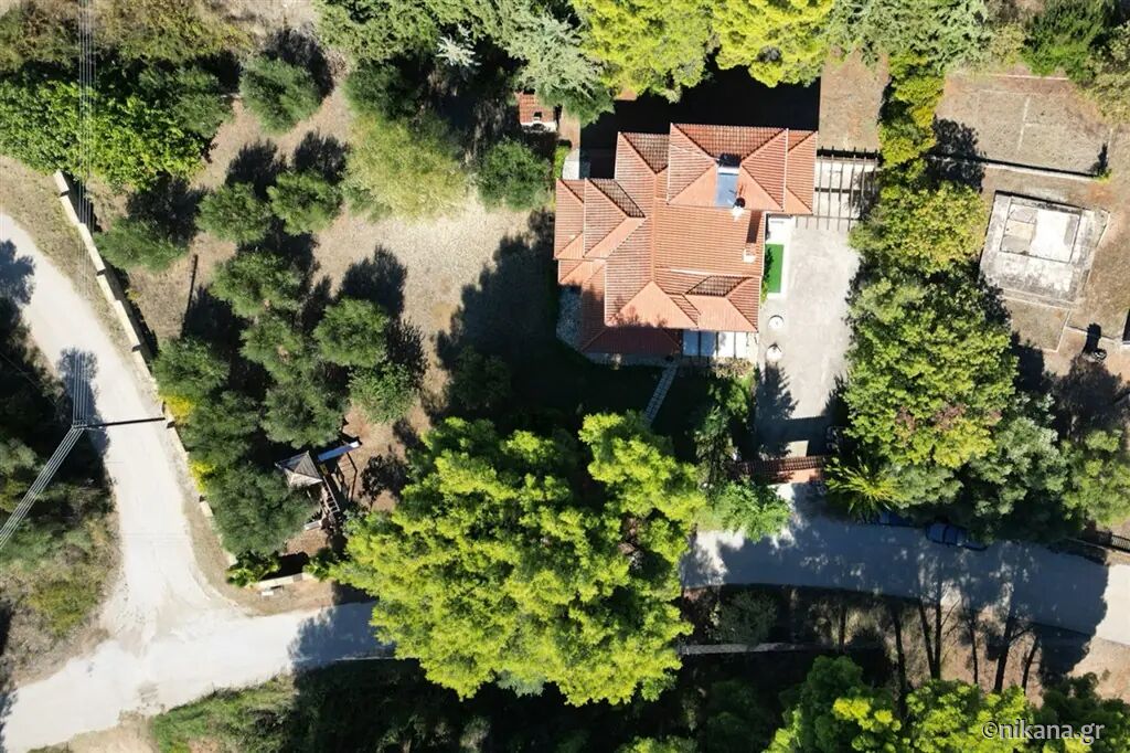 Iliannas Villa, Nikiti, Sithonia