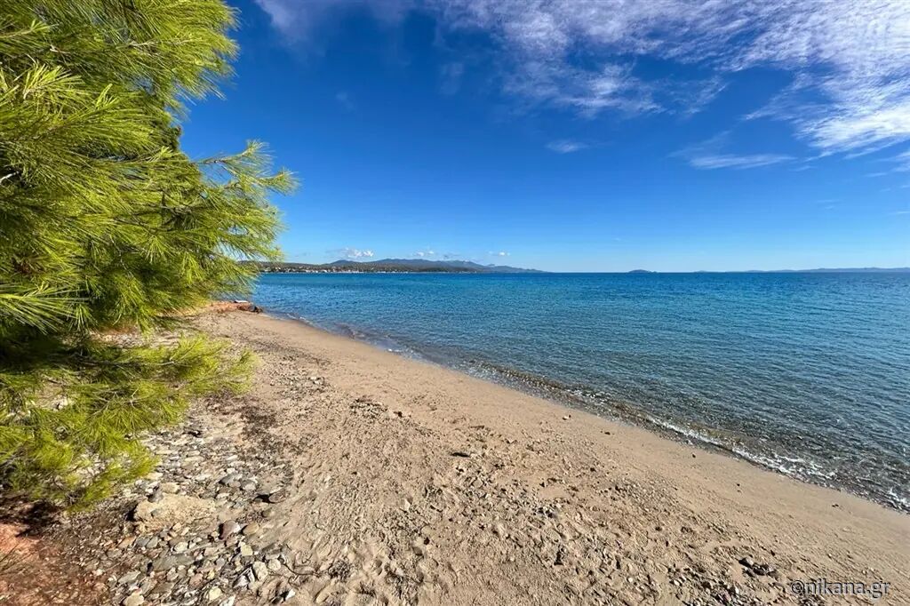 Iliannas Villa, Nikiti, Sithonia