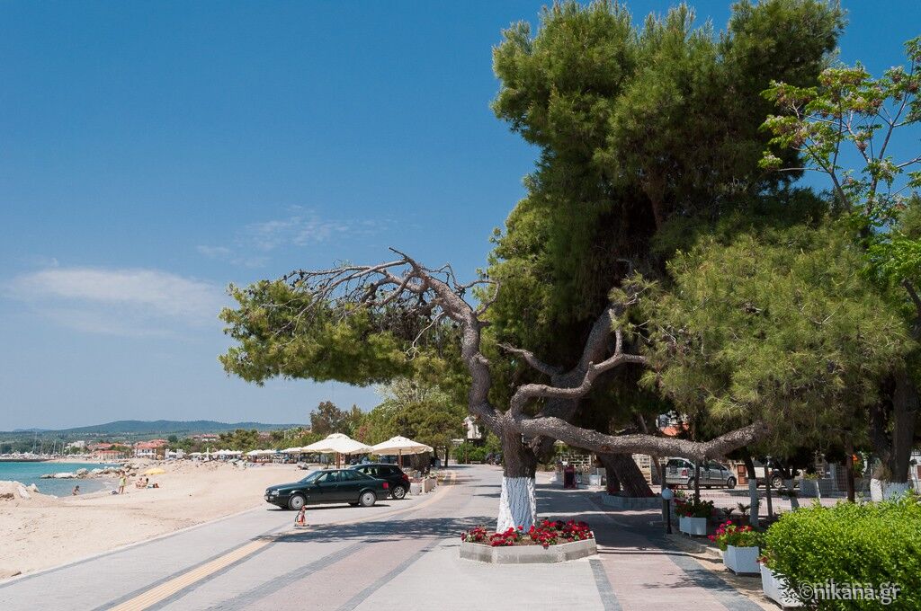 Iliannas Villa, Nikiti, Sithonia