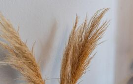 Nea Skioni House, Nea Skioni, Kassandra, 2 Bedroom Apartment. Two-level