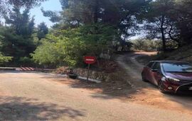 Agios Nikolaos Small House, Agios Nikolaos, Sithonia