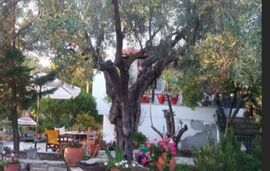 Agios Nikolaos Small House, Agios Nikolaos, Sithonia