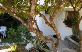 Agios Nikolaos Small House, Agios Nikolaos, Sithonia