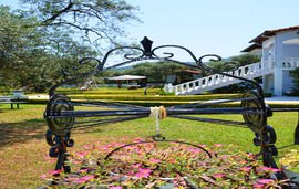 billena villa skala potamia thassos 11