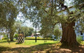 billena villa skala potamia thassos 9