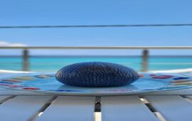 Evita Stylish Beachfront Maisonette, Polichrono, Kassandra