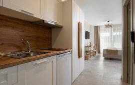 Ikies Apollon Boutique Hotel, Sarti, Sithonia