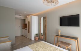 Ikies Apollon Boutique Hotel, Sarti, Sithonia