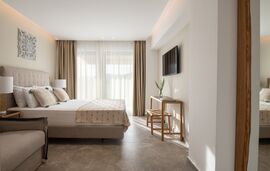 Ikies Apollon Boutique Hotel, Sarti, Sithonia