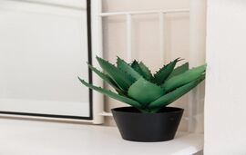 Alexandros Luxury Apartments, Nidri, Lefkada