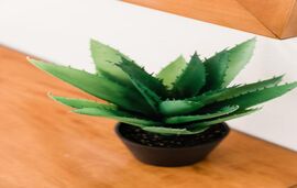 Alexandros Luxury Apartments, Nidri, Lefkada