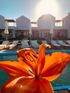 Dimi's Luxury Suites, Sykia, Sithonia