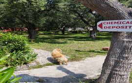 Acrogiali Camping, Riza, Epirus