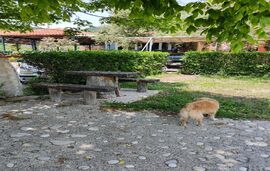 Acrogiali Camping, Riza, Epirus