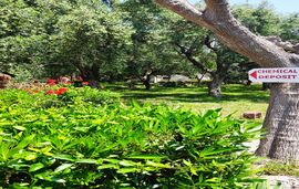 Acrogiali Camping, Riza, Epirus