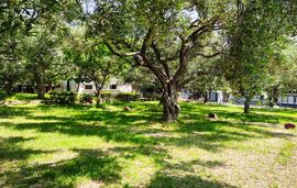 Acrogiali Camping, Riza, Epirus