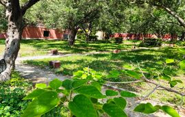 Acrogiali Camping, Riza, Epirus