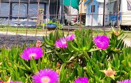 Acrogiali Camping, Riza, Epirus