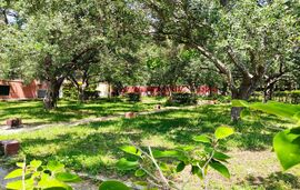 Acrogiali Camping, Riza, Epirus