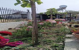 Solis House, Nea Kallikratia, Kassandra