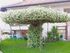 Pondia Lelevose Apartments, Ammouliani, Athos