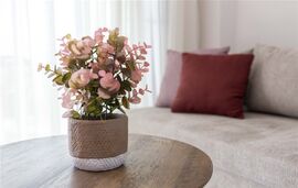 Bee Apartments, Nikiana, Lefkada