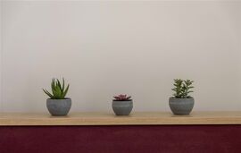 Bee Apartments, Nikiana, Lefkada