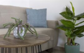 Bee Apartments, Nikiana, Lefkada