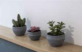 Bee Apartments, Nikiana, Lefkada