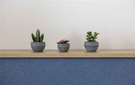 Bee Apartments, Nikiana, Lefkada