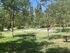 Under The Elani Pines With Garden Maisonette, Elani, Kassandra
