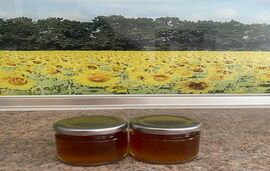 Petrino Apartmants, Agios Nikolaos, Sithonia