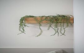 Celine's Rose Apartments, Skala Potamia, Thassos