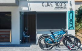 Olive Roots Luxury Suites, Skala Rachoni, Thassos