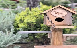 Avatel Eco Lodge Rooms & Suites, Kriopigi, Kassandra