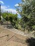 Garden Nest Apartment, Vourvourou, Sithonia