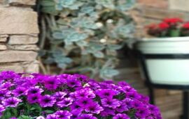 Katerina Pansion, Ouranoupolis, Athos