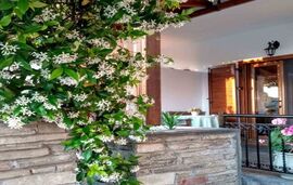 Katerina Pansion, Ouranoupolis, Athos