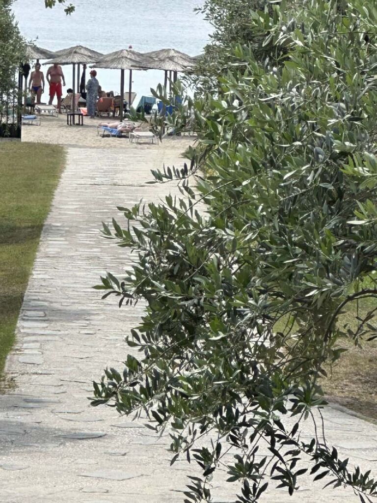 Sissy Suites   San Antonio Beach, Potos, Thassos