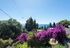 Okeanos Villa by Anita Holiday Homes, Perama, Corfu